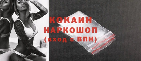 прущие грибы Иннополис