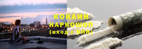прущие грибы Иннополис
