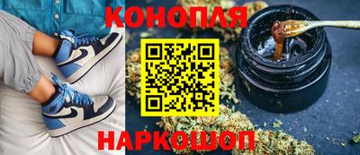 гидропоника Кингисепп