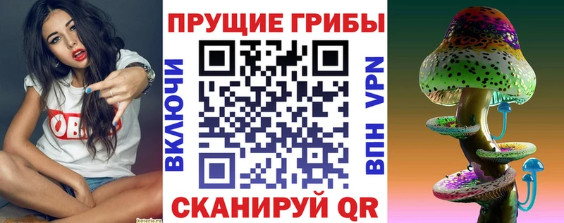 Галлюциногенные грибы Cubensis Рубцовск
