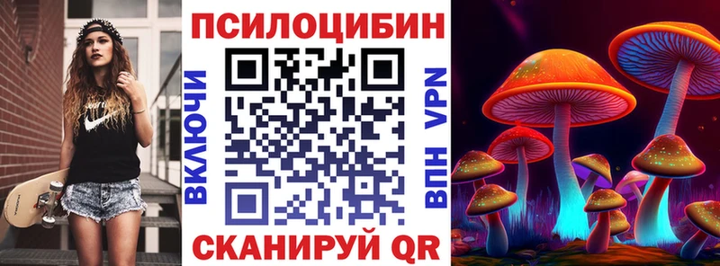 закладки  Рубцовск  Псилоцибиновые грибы Magic Shrooms 